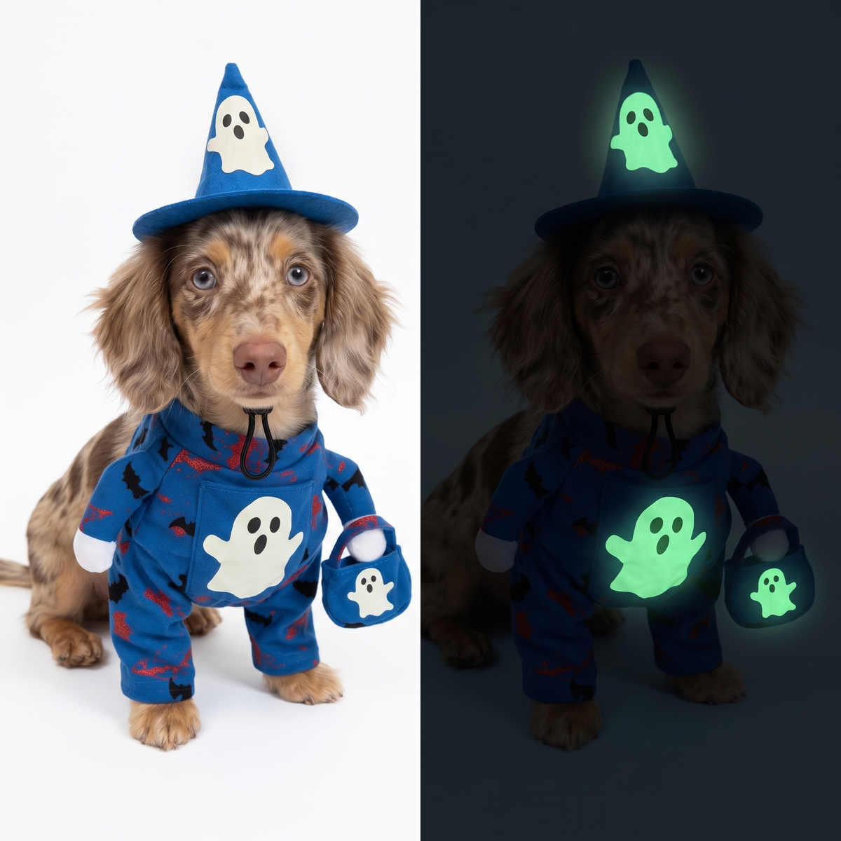 Glow-in-the-Dark Dog Costume